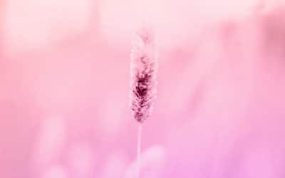 La Terre, ton ancrage