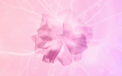 Le voyage des pensées