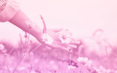 Comment j’ai appris à me guérir