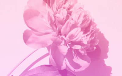 Développe tes qualités féminines