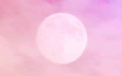 Vivre au rythme de tes lunaisons